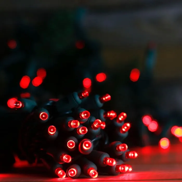 50-light  5mm Red LED Christmas Lights, 6" Spacing Green Wire