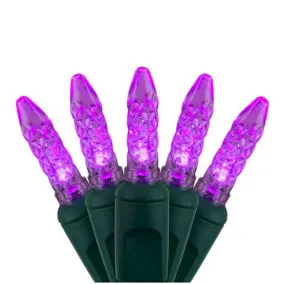 70 Purple M5 Mini Light - Premium - LED Christmas Lights