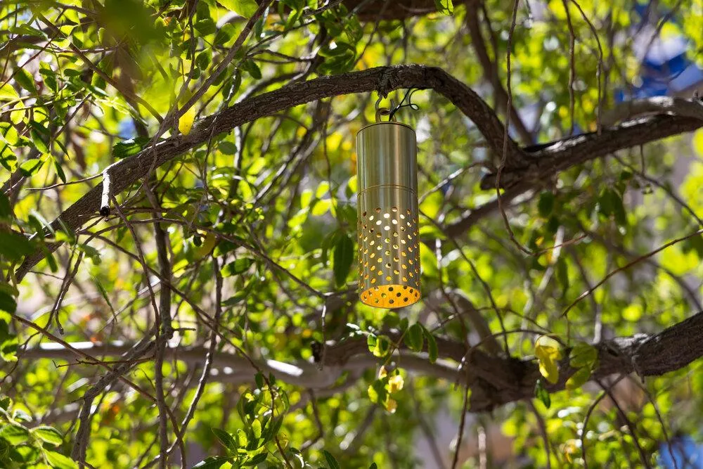 Brilliance Glacier Perforated Hanging Down Light