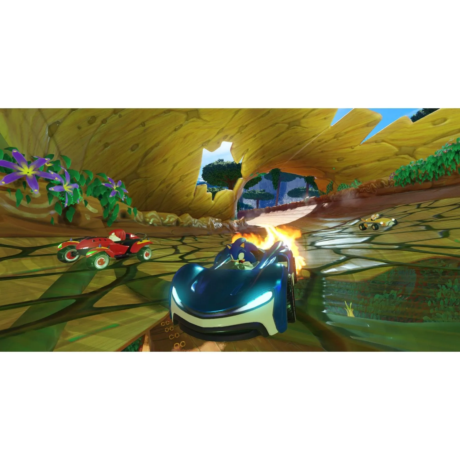 PS4 Team Sonic Racing