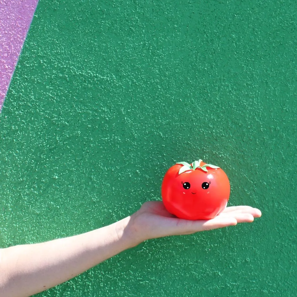 Tomato Mini LED light